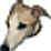 paulbutton.jpg (2183 bytes)