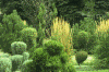 debsyard.gif (20305 bytes)